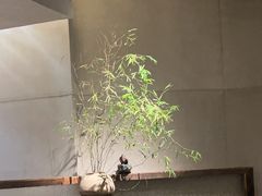 -上井料理黑金店(IFS国金中心店)