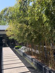 -爱儿美儿童摄影(朝阳公园店)