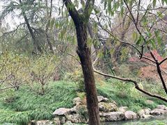 -柳莺湖上·湖景餐厅·江南菜(西湖店)