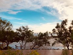 -宝安西湾红树林湿地公园