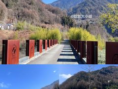 -卧龙中华大熊猫苑神树坪基地