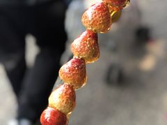 -长鹿旅游休博园