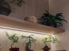 -周家二小姐的菜·扬州菜·香炒蟹·狮子头(江都金鹰店)