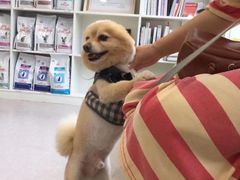 -艾吉宠物医院·疑难杂症转诊中心·猫友好(碧江路院)