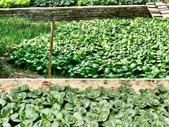 -东钱湖旅游度假区