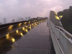 -亨德森波浪桥