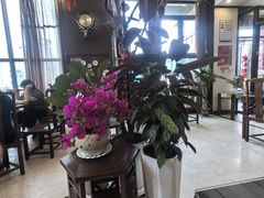 -津菜宋记老房子(鼓楼店)