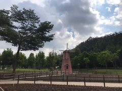 -顺峰山公园