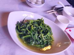豌豆苗-渝信川菜(南滨店)