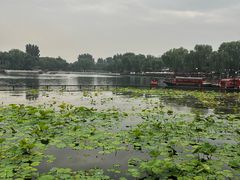 -小王府(什刹海店)