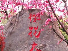 -洛龙公园