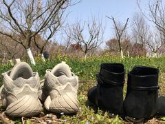 -上海海湾国家森林公园