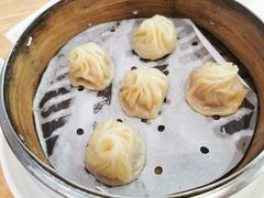 鲜肉小笼包-顾一碗馄饨·烧麦(儿童医学中心店)