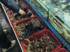 -望海潮海鲜店 特色家常菜(在海一方店)