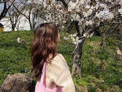 -苏州上方山国家森林公园