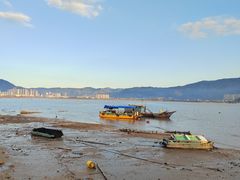 -北岐滩涂