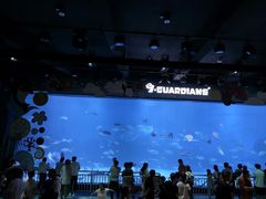 -烟台海昌鲸鲨海洋公园