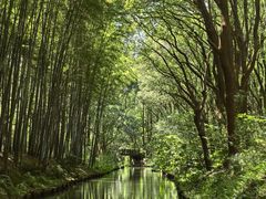 -同里国家湿地公园