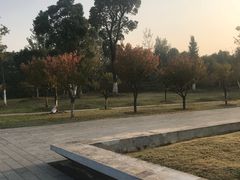 -滨湖塘西河公园