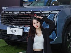 -吉利汽车(布吉直营店)