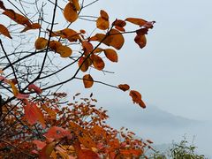 -秦岭终南山世界地质公园翠华山景区