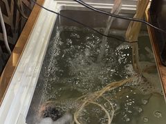 -湘当爱·鲜煮现炒(松岗立业路店)