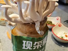 -羊来顺冰煮鲜羊 铁锅烀羊肉(中央大街店)
