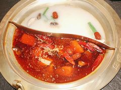 -熊喵来了火锅(四平万达第56分店)