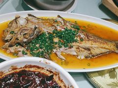 -三强鸽子(中原路店)
