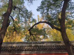 -北京国子监胡同