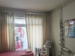 -程氏苗堂苗技养生