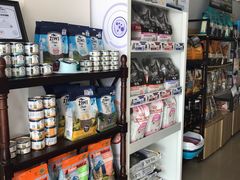 -70cat德文卷毛猫·缅因猫纯种猫舍