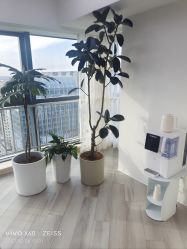 -HEYAN荷妍专业脱毛连锁机构