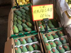 -海吉星市场