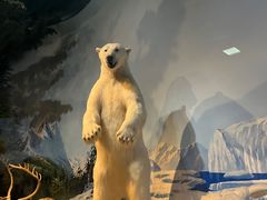 -陕西自然博物馆