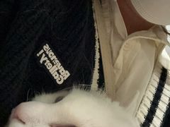 -美联众合宠物医院·爱萌分院·内外科·猫科中心