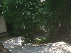 -龟山风景区-龟山电视塔