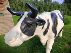 -长白岛森林公园