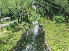 -北坞公园