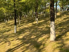 -重庆中央公园(渝北区)