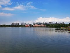 -上海长兴岛郊野公园