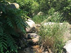 -碓臼峪自然风景区