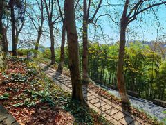 -莫干山风景区