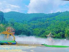 -西双版纳原始森林公园