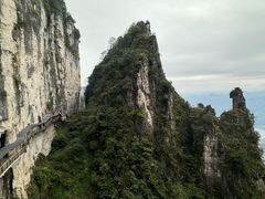 -蝶舞清江·恩施云顶景区(黄鹤峰林)