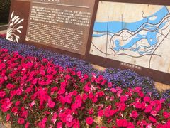 -五缘湾湿地公园