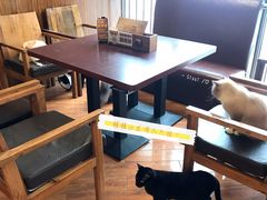 -喵园·猫主题咖啡厅·撸猫·猫咖(国贸店)