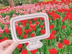 -无锡梅园公园