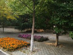 -北京市海淀外国语实验学校