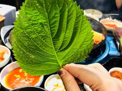 -Dombe豚(黑猪肉街店)
